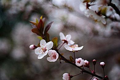 英国周销榜：SE《漫威银河护卫队》排名第二